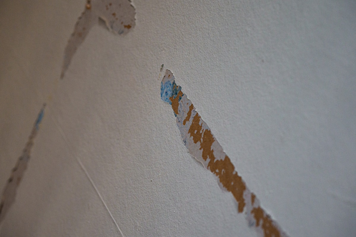 Storm Damage Repair service in San Jose, CA